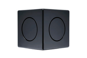MiniMe-DSP-P63 Subwoofer