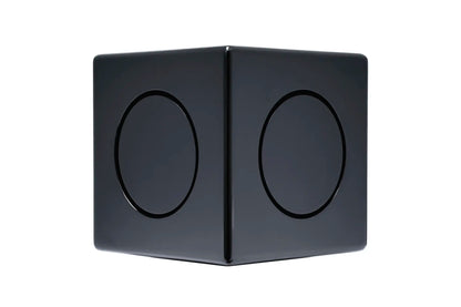 MiniMe-DSP-P63 Subwoofer