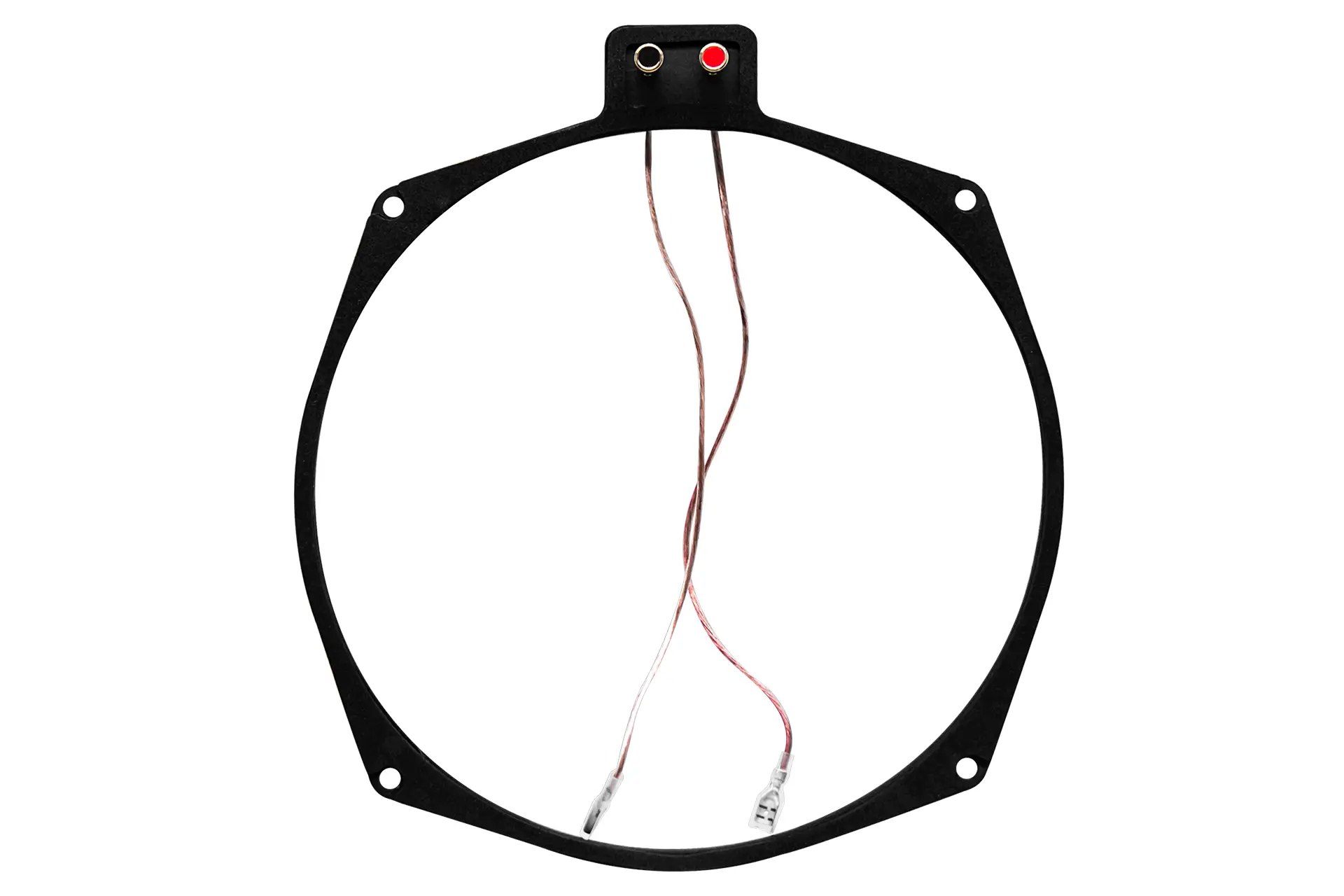 Earthquake Europe | R8-SWS B-Stock One Ring SAU:0243